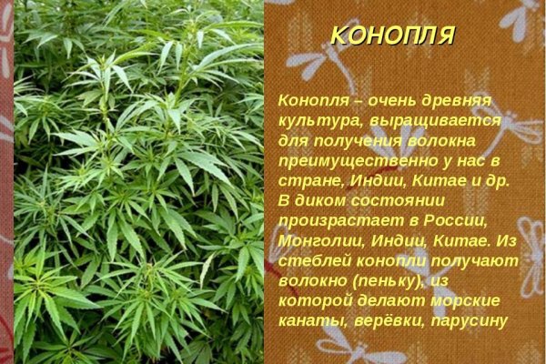Кракен маркетплейс в россии