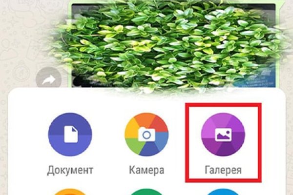 Kraken tor onion зеркало