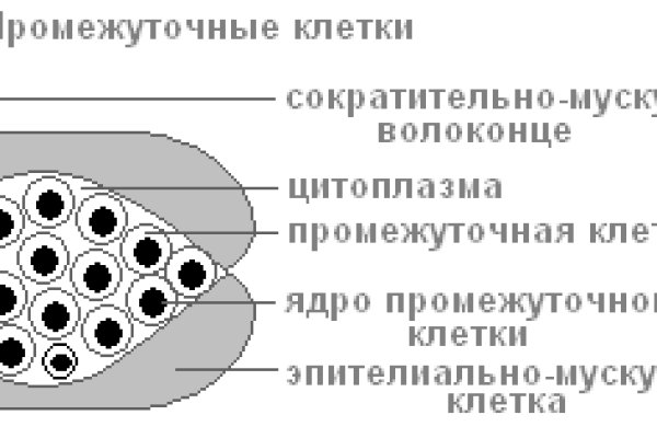 Кракен сайт дарк нет