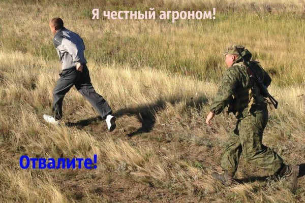 Ссылка на кракен в браузере