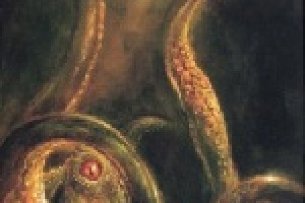 Кракен макет даркнет только через тор