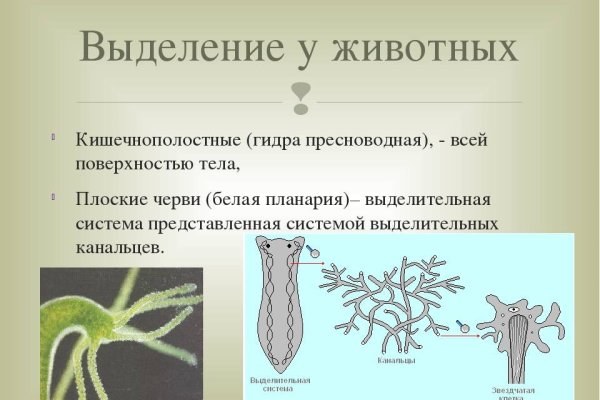 Пользователь не найден кракен даркнет