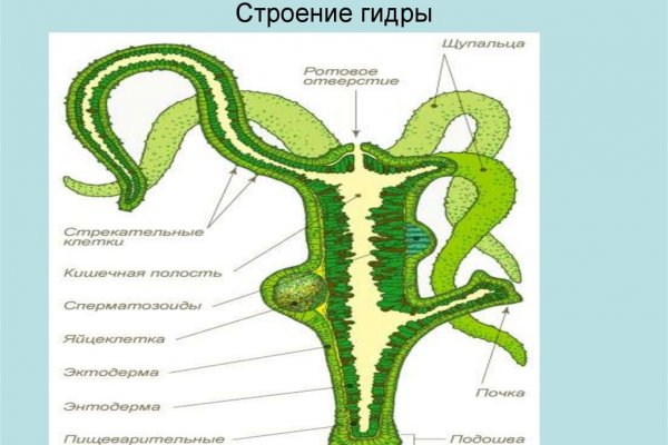 Сайт вместо гидры