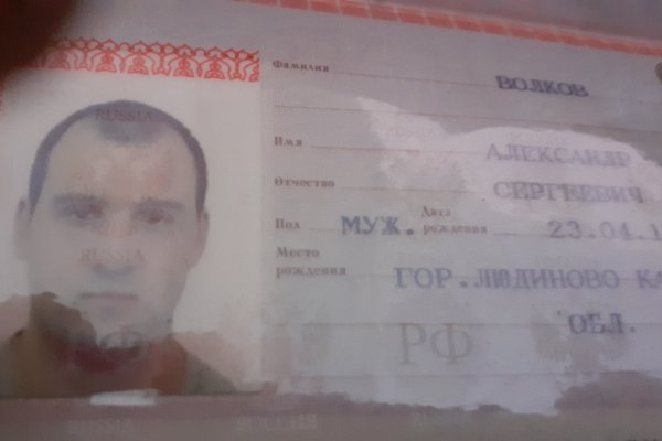 Где найти рабочую ссылку на кракен