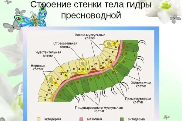 Услуги даркнета