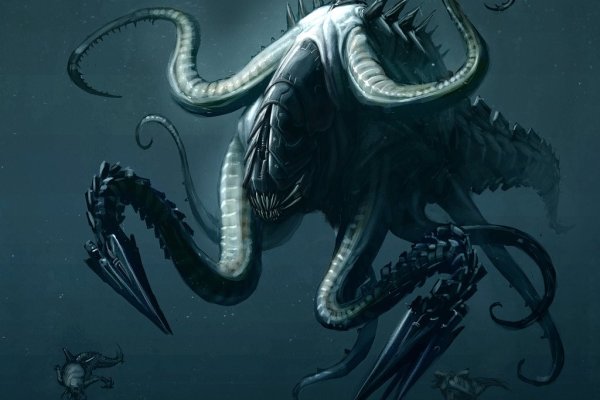 Kraken ссылка kraken torion