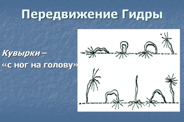 Ссылка на кракен не работает