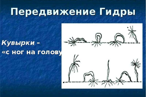 Кракен сайт что будет если зайти