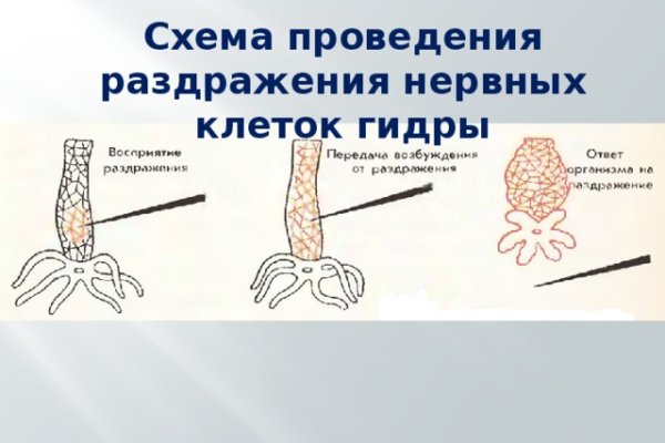 Как пополнять кракен тор